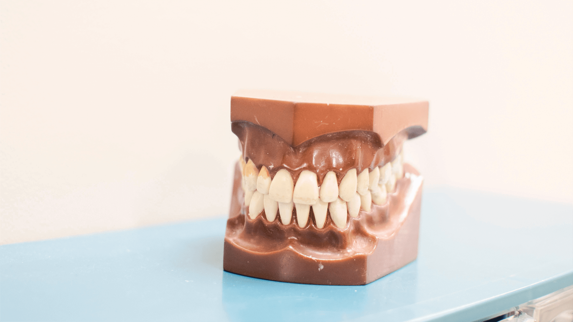 A mold of the human mouth with teeth